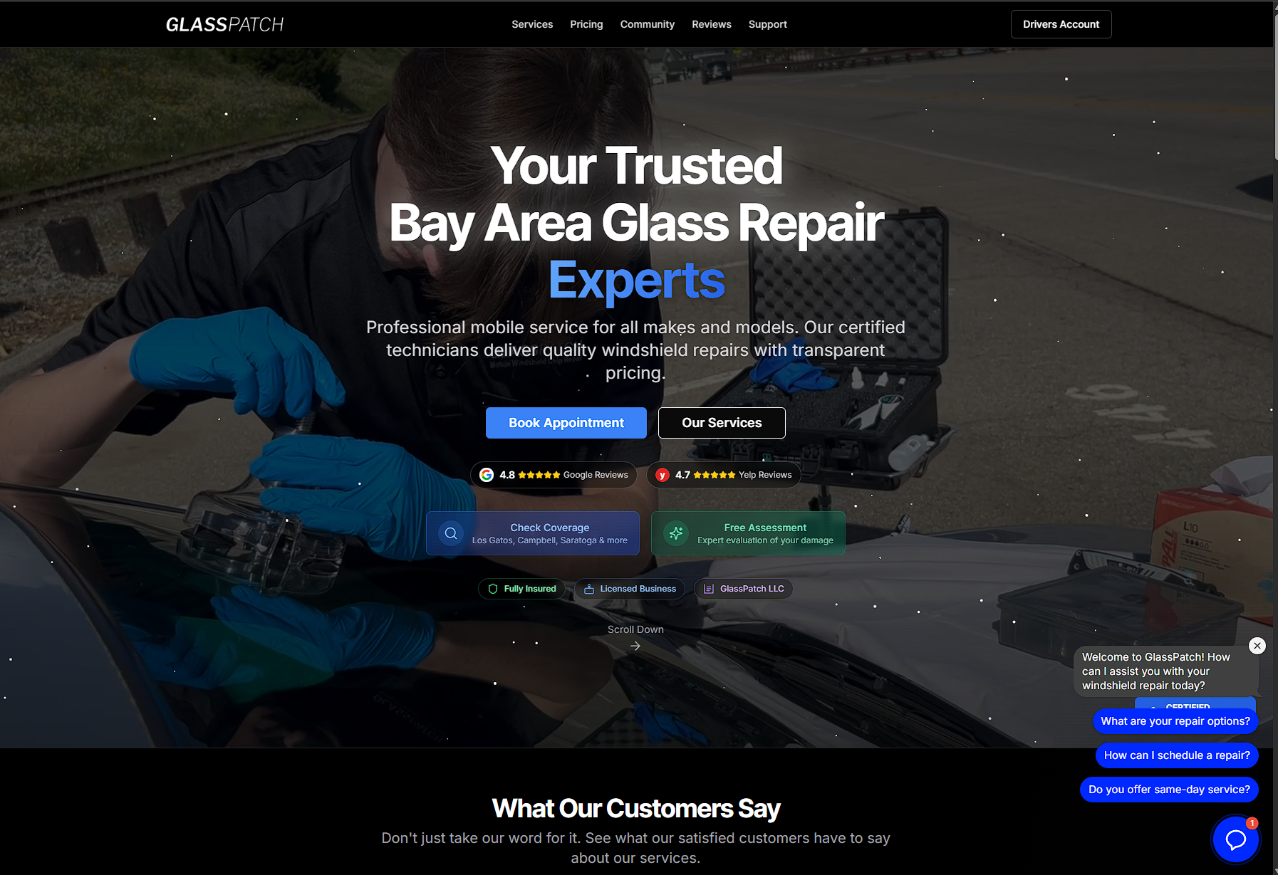 GlassPatch product screenshot